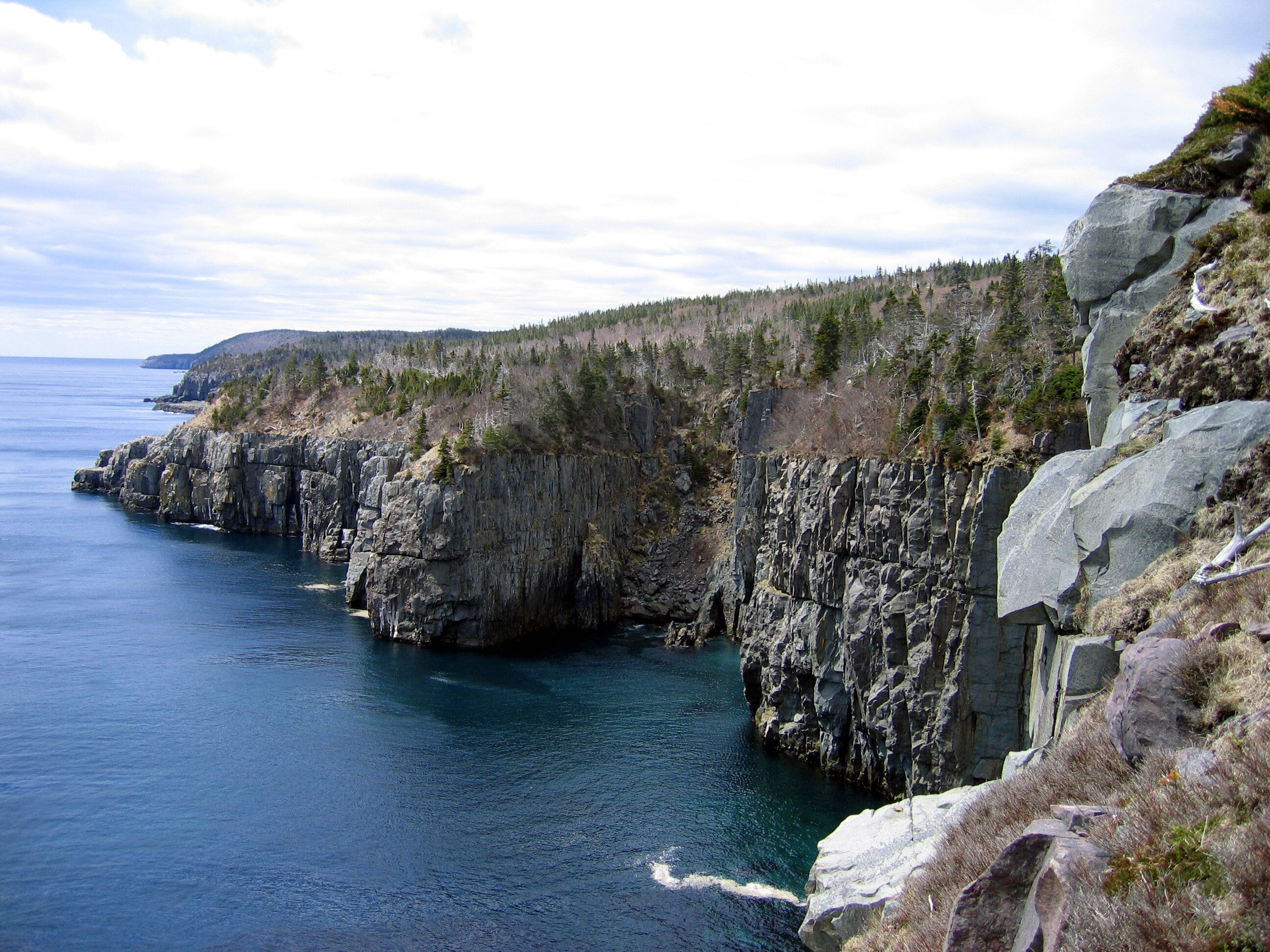 A New Reason To Visit Newfoundland Mistaken Point Recently Designated